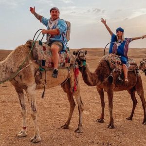 AGAFAYX-CAMEL activity (1)