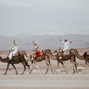 AGAFAYX-CAMEL activity (1)