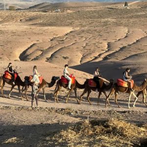 AGAFAYX-CAMEL-activity-_1_