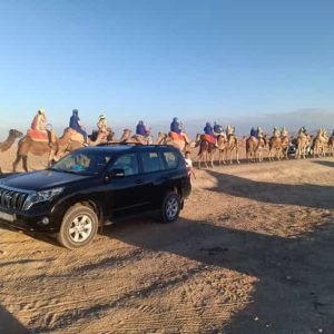 AGAFAYX-TRANSPORT (5)