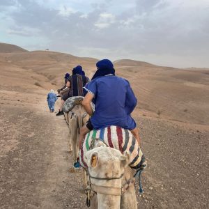 WhatsApp Image 2026-03-03 at 14.09.00