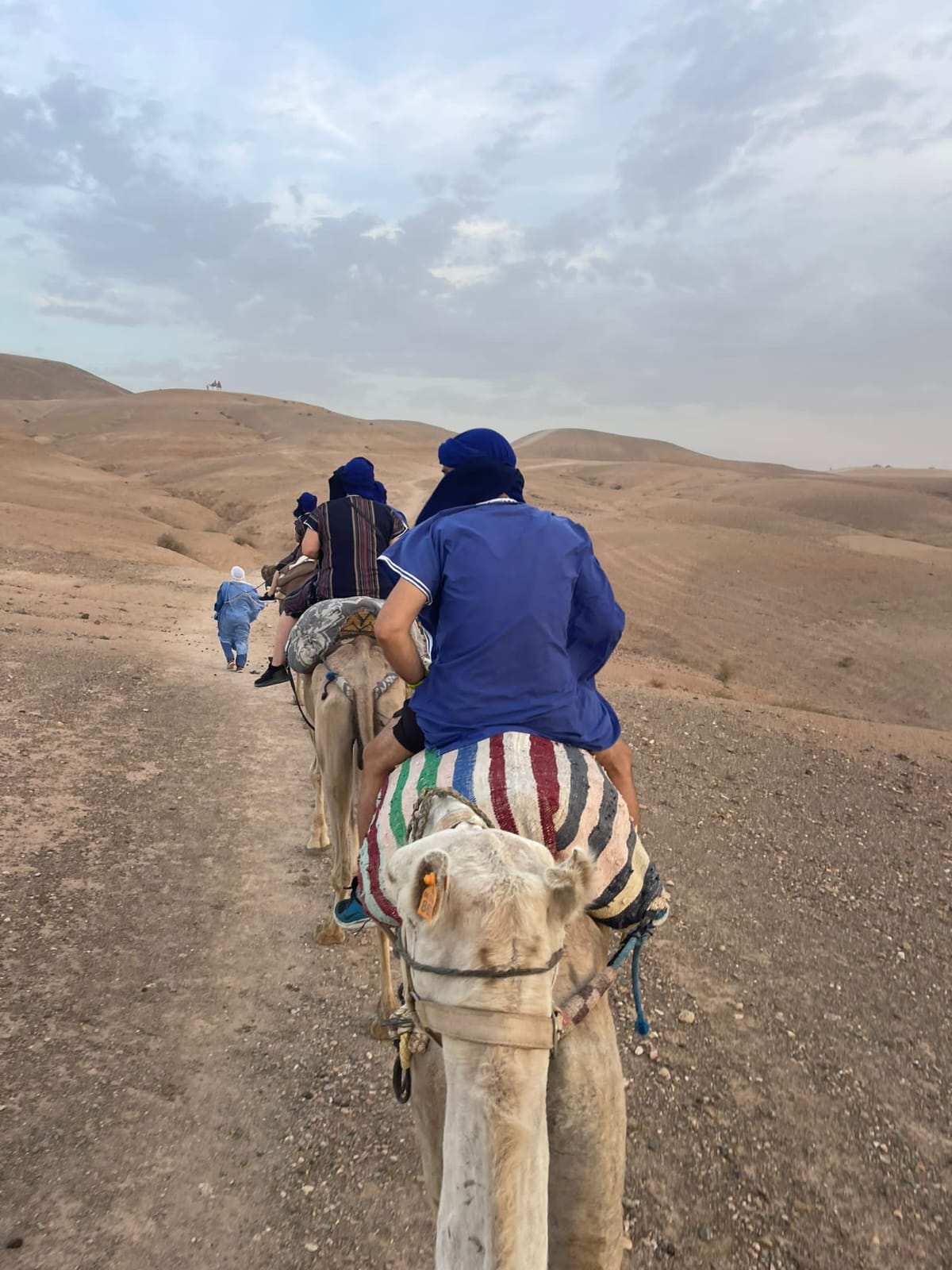 WhatsApp Image 2026-03-03 at 14.09.00