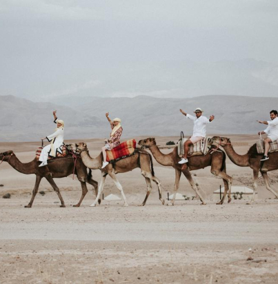 AGAFAYX-CAMEL Product
